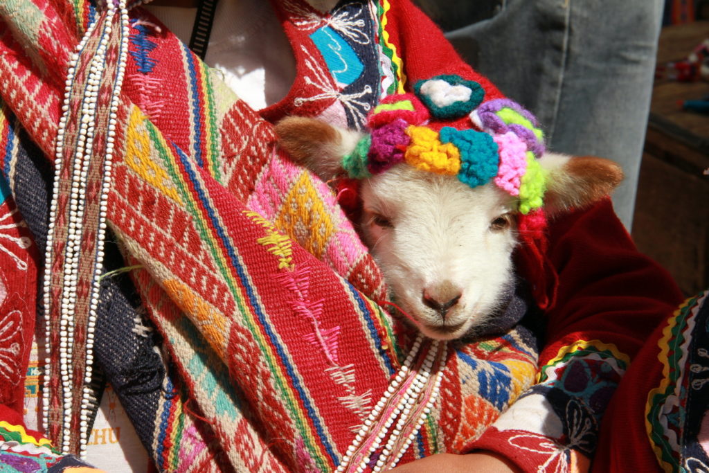 Shimmering Andean colors