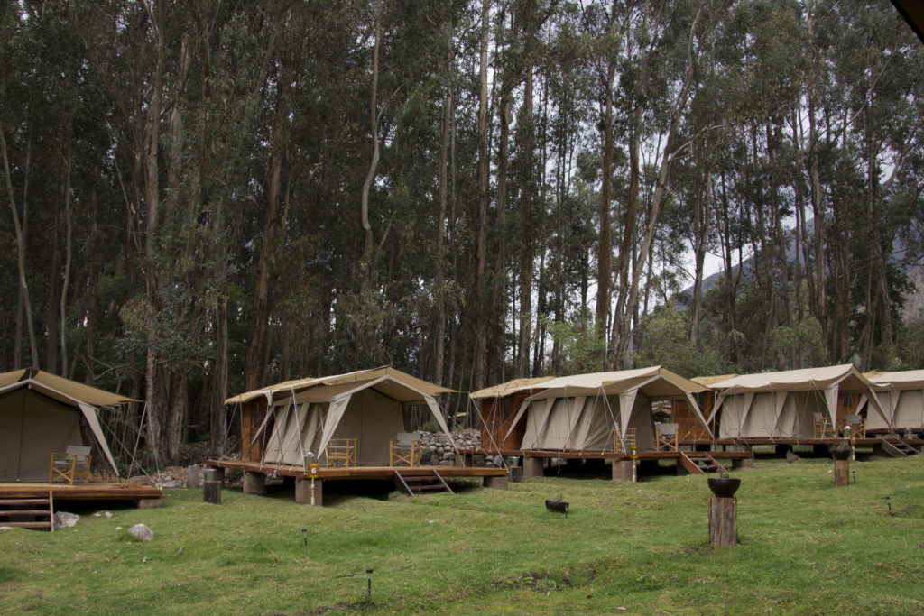 Surrounded by eucalyptus